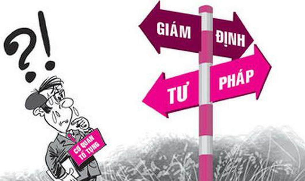 giam-dinh-tu-phap